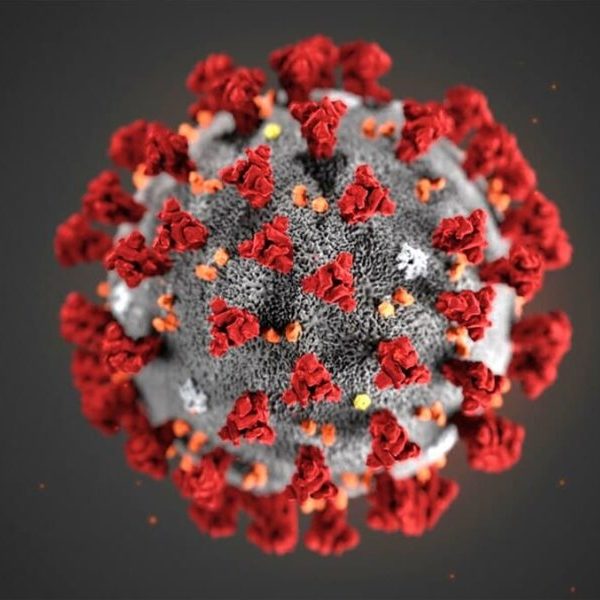 coronavirus-900x600